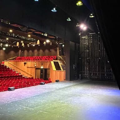 Hero image for Step Behind The Curtain - Venue & Backstage Tour
