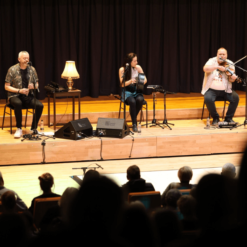 Image preview for Irish House Party